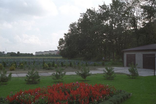 012.jpg