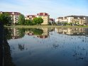 img_8591