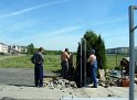 IMG_9278