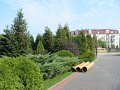 IMG_9622