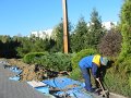 IMG_9636