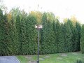 IMG_9657