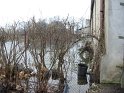 IMG_9089
