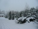 IMG_9112