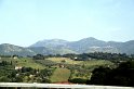 IMG_2924