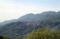 IMG_2931
