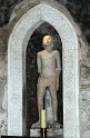 IMG_3342