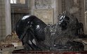 IMG_3641