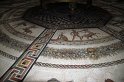 IMG_3644