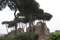 IMG_3890
