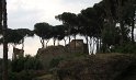 IMG_3891