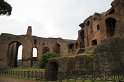 IMG_3894