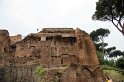 IMG_3896