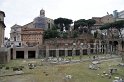 _MG_3857