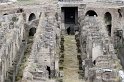 _MG_3919