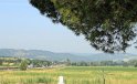 IMG_4183