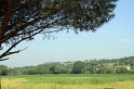 IMG_4184