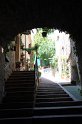 IMG_4305