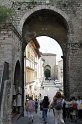 _MG_4340