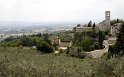 _MG_4350