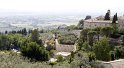 _MG_4355