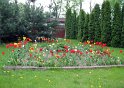 IMG_9226
