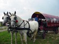 IMG_1900