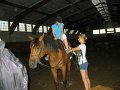 IMG_1911