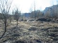 IMG_1407