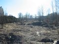 IMG_1409