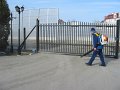 IMG_1429