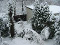 IMG_1460