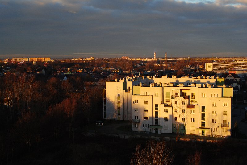 DSC_1009.JPG