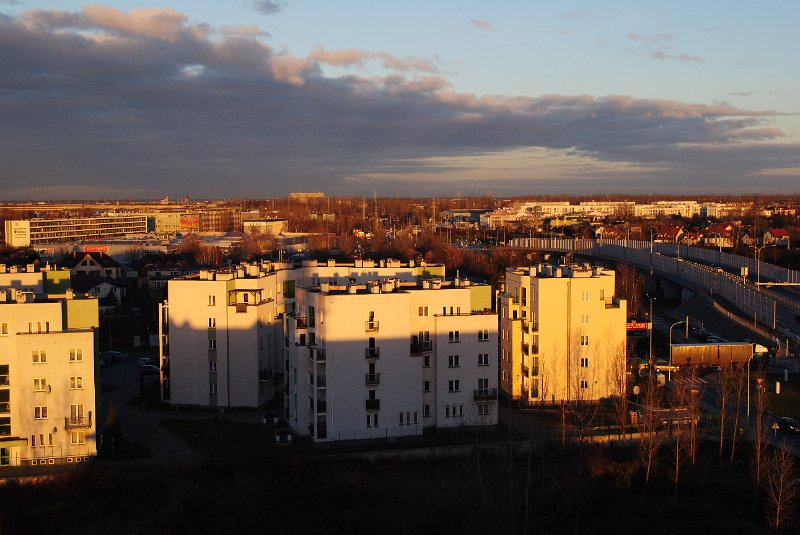 DSC_1010.JPG