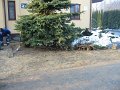 IMG_2201