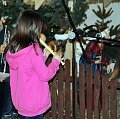 IMG_2365