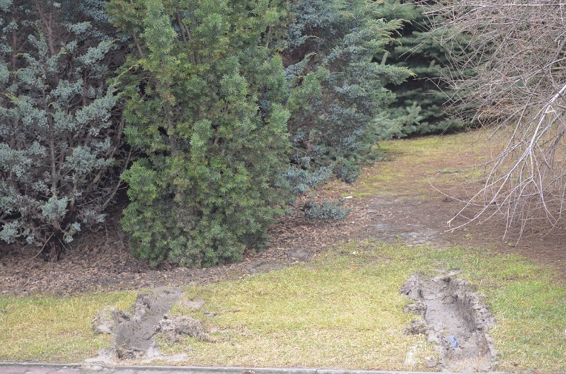 DSC_1721.JPG