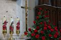 IMG_0231