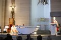 IMG_7485