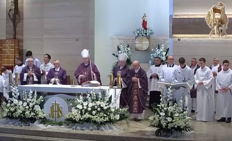 p2.jpg