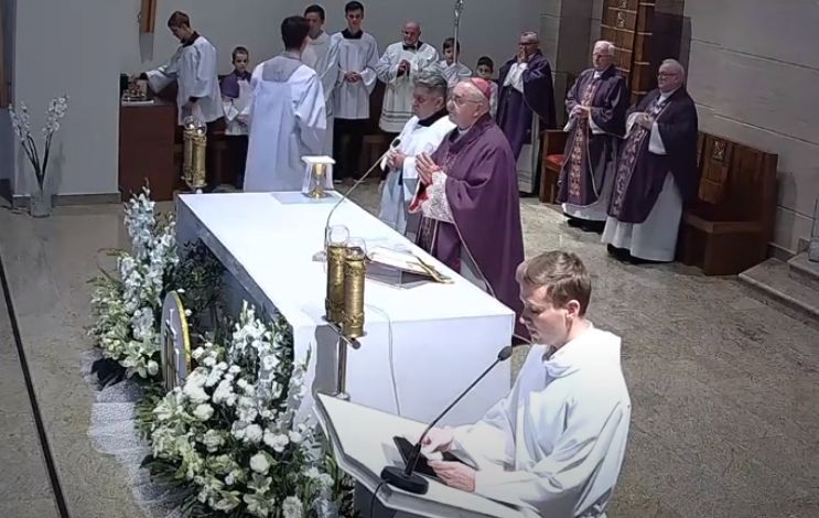 p8.jpg