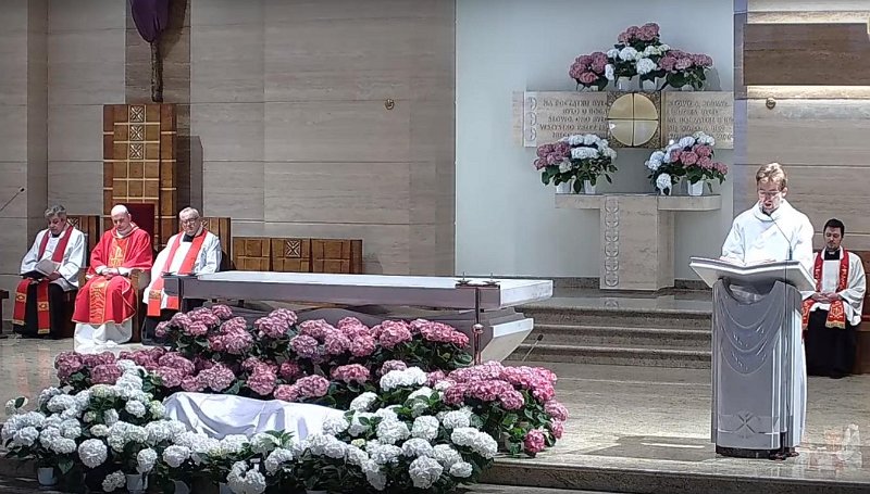 P8.jpg