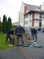 IMG_9646
