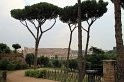 IMG_3886