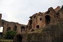 IMG_3895