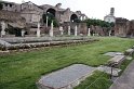 _MG_3873