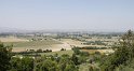 _MG_4207