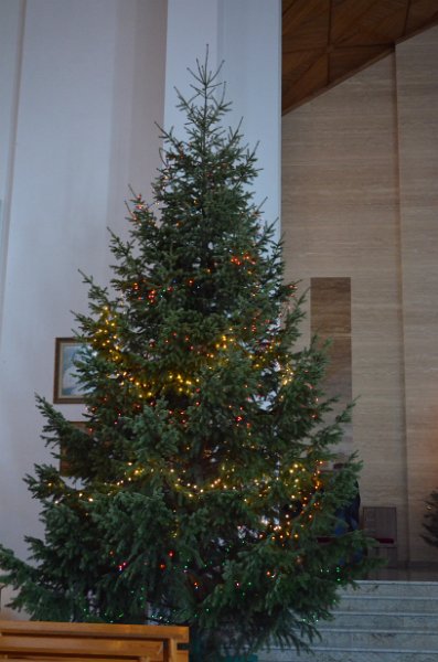 DSC_0213.JPG
