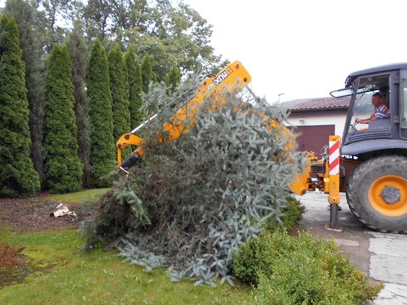 DSCN0689.JPG