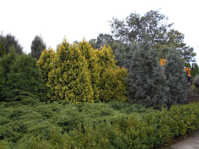 DSCN0701.JPG
